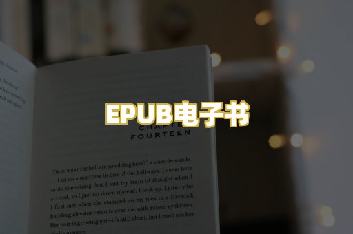 EPUB电子书